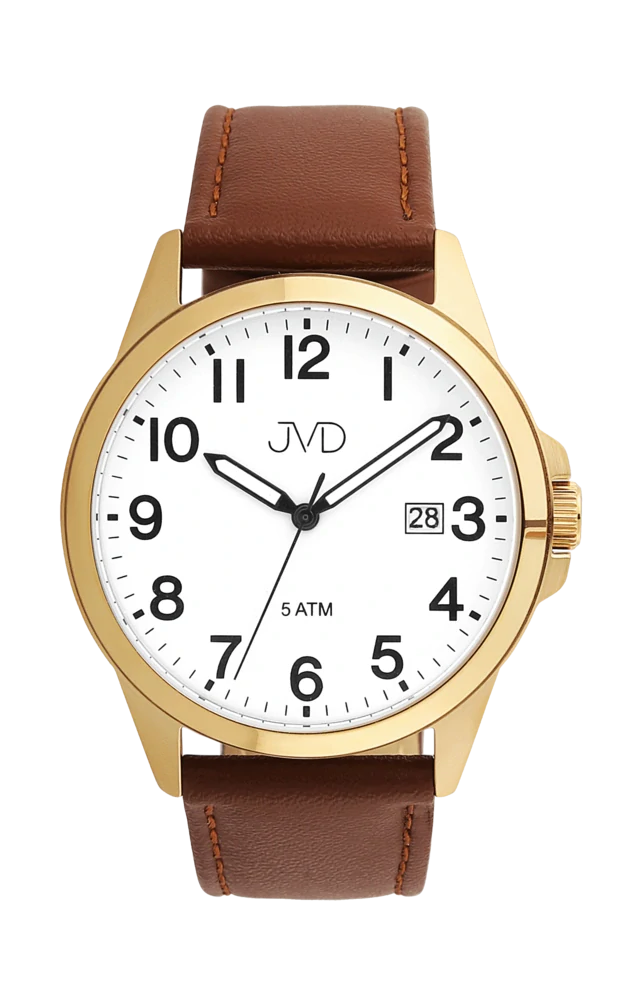 Pánské voděodolné ocelové náramkové hodinky JVD J1131.8