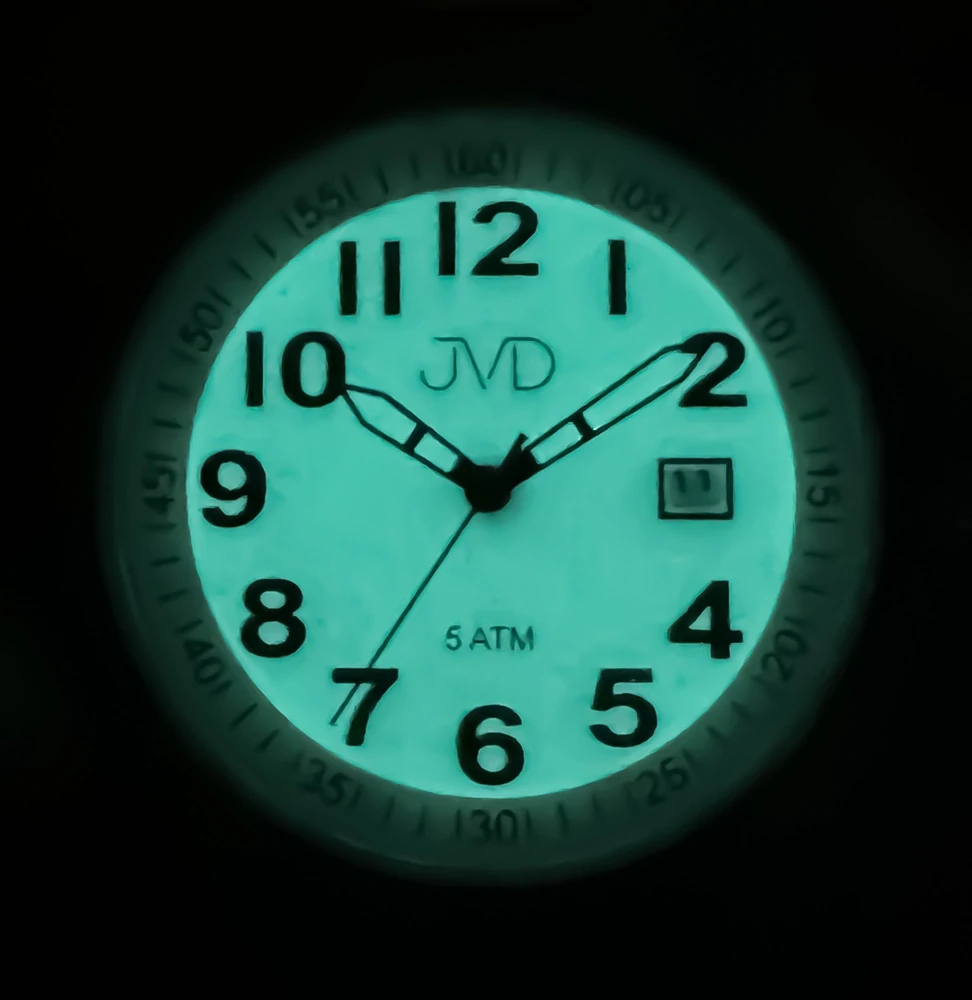 JVD Pánské ocelové voděodolné hodinky JVD J1132.1
