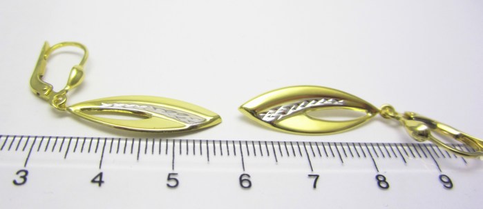 Klenoty Budín Dámské zlaté visací náušnice v kombinaci žlutého a bílého zlata 585/2,45gr HK2489